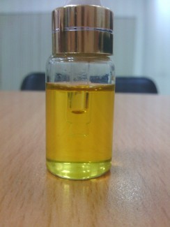 Dầu Chùm Ngây - Moringa oil