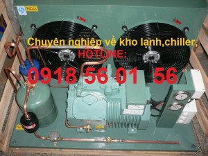 Kho Lạnh Thủy Sản