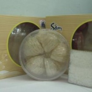 Yến Sào