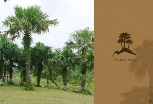 Palm Hills Biệt Thự Xanh- Sạch- Đẹp