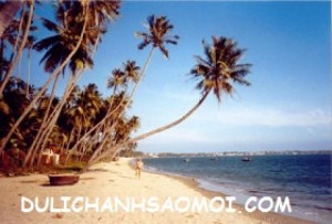 Tour du lịch Mũi Né – Phan Thiết 3 ngày giá rẻ 2015