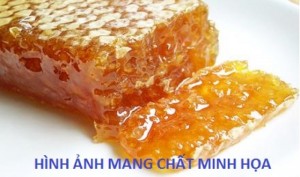 Mật ong rừng nguyên chất 100%