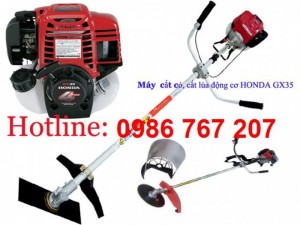 Máy cắt cỏ Honda GX35, máy cắt cỏ 4 thì chạy xăng giá rẻ