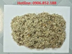Hạt giống cây nở ngày đất