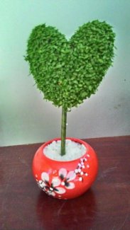 May mắn trái tim tình yêu
