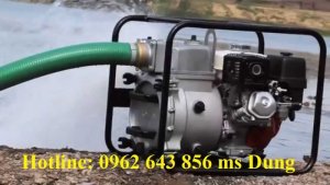 Cung cấp máy bơm nước Koshin SEV-80X rẻ nhất thị trường