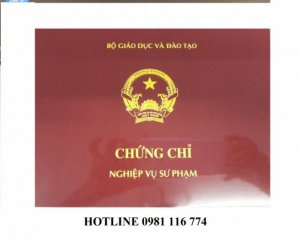 Chứng Chỉ Nghiệp Vụ Sư Phạm Giảng Viên Cấp Tốc(GIẢM NGAY 30% HỌC PHÍ)