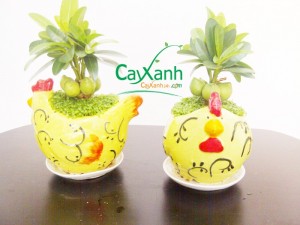 Món quà nho nhỏ là bao điều gửi trao.