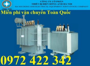 Máy biến áp đông anh EEMC.EVN-750-22/0.4