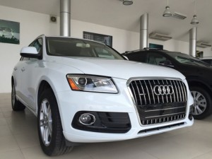 Xe Audi Q5 2015