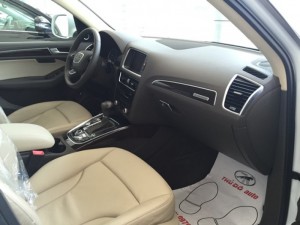 Xe Audi Q5 2015