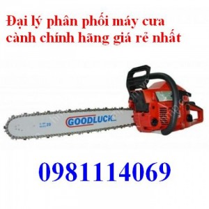 Đại lý phân phối máy cưa cành Goodluck 5900, máy cưa xích công suất nhỏ giá rẻ