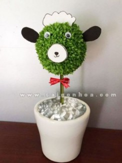 Cây may mắn chú cừu