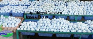 Cung cấp bóng Golf