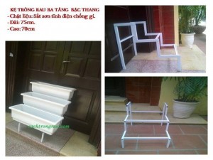 Kệ trồng rau bậc thang vừa đẹp và gọn