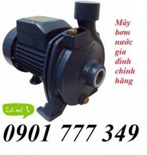 Máy bơm nước LEPONO LCM 158