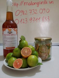 Chanh đào mật ong và đường phèn - 500ml - 900ml - 2000ml - giá 120.000 - 210.000 - 440.000 VNĐ