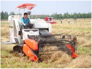 Máy gặt đập Kubota DC70 Thái Lan xịn giá cực rẻ