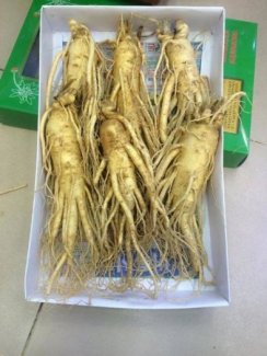 NHÂN SÂM TƯƠI 6 CỦ 1 KG
Đơn giá: 3.000.000vnđ.