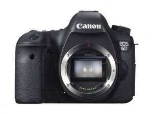 Canon EOS 6D lens 24-105 F/4 L IS USM