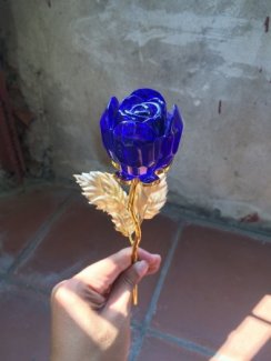 Hoa Hồng Vàng 24K