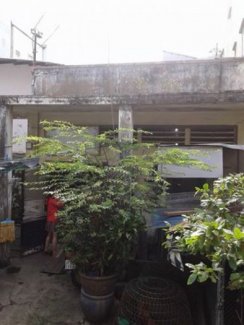 Bán nhà Q10, Tô Hiến Thành 8.92x7.8m , 2 lầu sân thượng, GIÁ 2.95 tỷ/TL