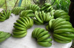 Chuối La Ba - Đà Lạt