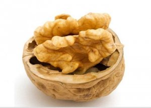 hạt óc chó