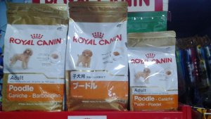 Thức ăn Royal Canin Poodle