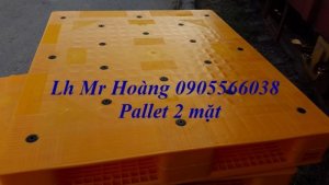 Bán Pallet nhựa cũ, Pallet nhựa mới tại Quảng Trị, Huế LH Hoàng 0905566038
