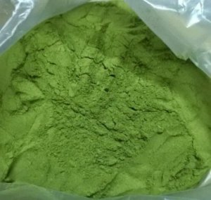 Dùng công nghệ sấy lạnh, bột trà xanh vẫn giữ nguyên màu sắc