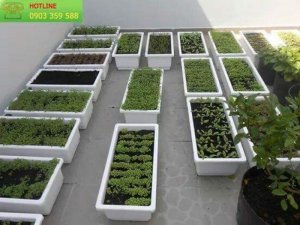 Chậu kẹp lan can trồng hoa, chậu kẹp lan can trồng rau sạch