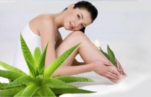 Sữa Tắm Aloe Vera Body Cleanser 1500G