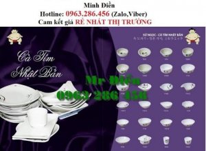 tô, chén, bát, đĩa, sứ ngọc, nhựa phíp, melamine, đẹp, Nhật Bản, Hàn Quốc, lẩu nướng, sumo bbq, sushi