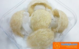 Yến Sào