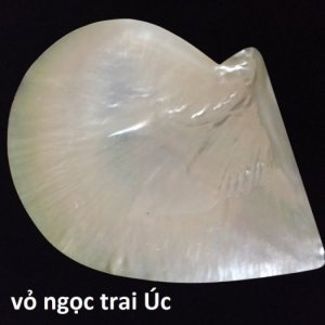 Bút mỹ nghệ từ vỏ ngọc trai và vỏ bào ngư