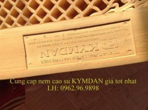 Nệm Cao Su KYMDAN thanh lý giảm giá rẻ nhất Sài Gòn