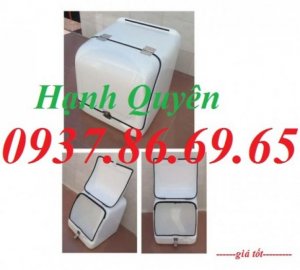 Thùng giao hàng, thùng tiếp thị, thùng chở hàng sau xe máy, thùng giao đồ ăn nhanh