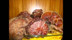 Nấm Lim Xanh Tiên Phước
