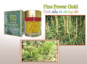 Tinh Dầu Thông Đỏ
