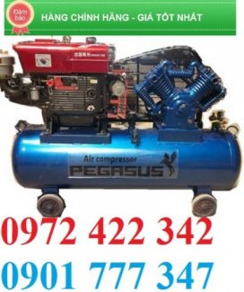 máy nén khí chạy dầu 3hp, pegasus TM- V-0.25/8, máy nén khí chạy xăng
