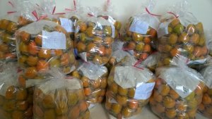 Hồng Giòn Đà Lạt