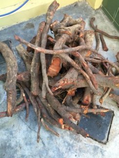 Liều dùng
- Bên trong uống 12g đến 40g. Dùng tươi, gĩa nát đắp vào nơi sưng đau. Bên ngoài dùng tùy ý theo nhu cầu.