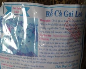 Rể cà gai leo