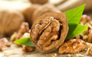 Quả óc chó giúp tăng khả năng làm cha
Ăn quả óc chó hàng ngày giúp nhuận tràng