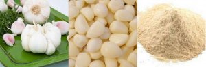 Bán Bột tỏi Garlic extract