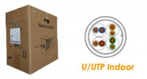 Bán nhanh cap mạng cat5e,cat6 AMP chính hãng....