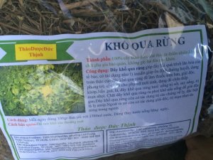 Dây khổ qua rừng điều trị ung thư,chữa bệnh tiểu đường,gout hiệu quả.