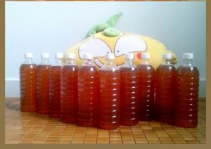 Mật ong nguyên chất Dắk Lắk, BMT