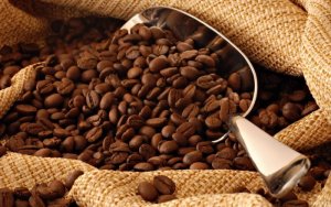 Cung cấp sỉ và lẻ các loại cafe mộc nguyên chất 100%